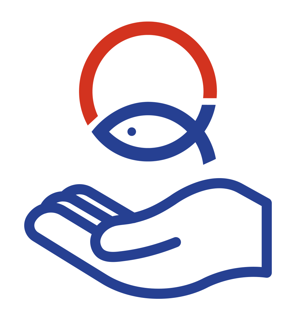 icon care copia