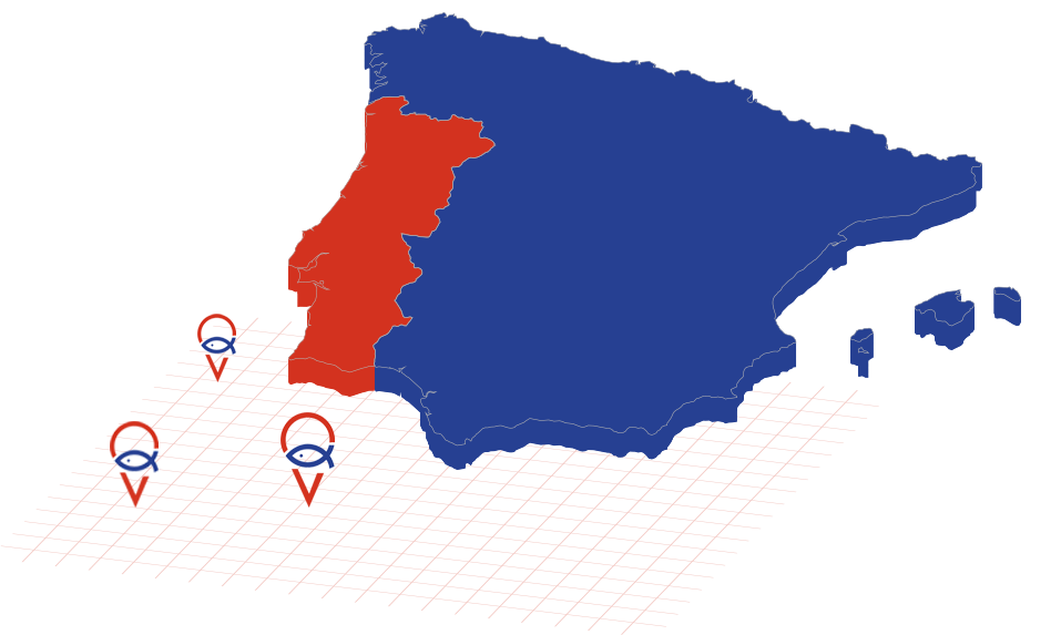 opp80opp
