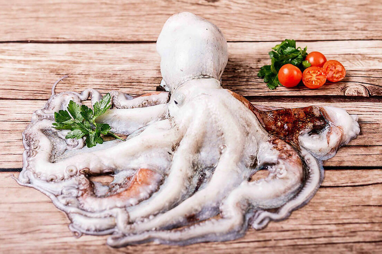 pulpo